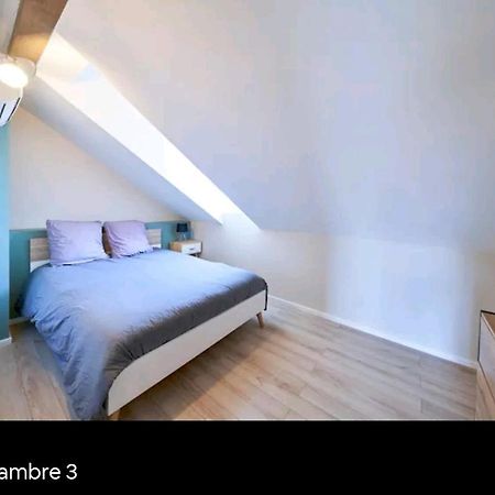Loft Neuf Avec Bain Jacuzzi Et Terrasse Colmar Exterior foto
