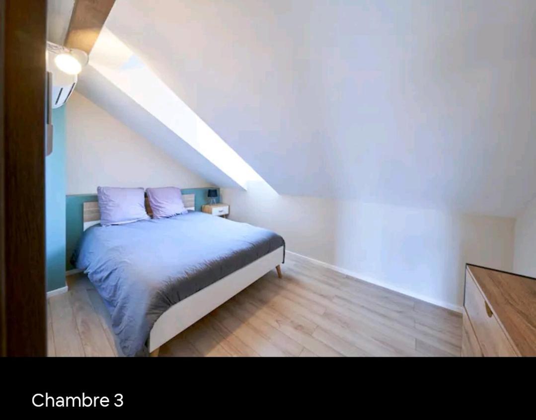 Loft Neuf Avec Bain Jacuzzi Et Terrasse Colmar Exterior foto